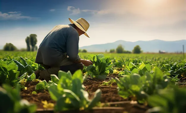 farmer-vibrant-fiel.2e16d0ba.format-webp.fill-1668x1014.webp