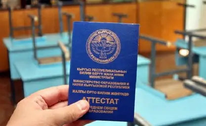 Базар-Коргондо чет өлкөдө жүргөн 10 окуучуга мыйзамсыз аттестат берилген