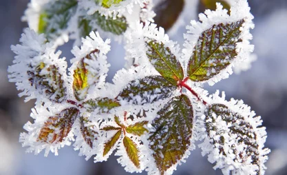 gelo-inverno.2e16d0ba.format-webp.fill-1668x1014.webp