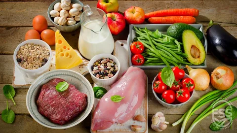 gida-urunlerinin-saglik-sertifikasyonu.jpg