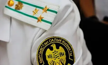 Салык кызматындагы жетишкендиктер жана санариптик реформанын жемиши