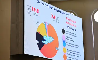 Парламентте жугуштуу эмес оорулардын алдын алуу маселеси көтөрүлдү