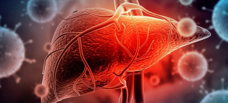 hepatite.max-2560x1440.format-webp.jpegquality-90.webp