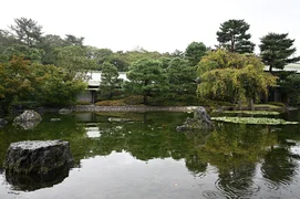 image13.jpg