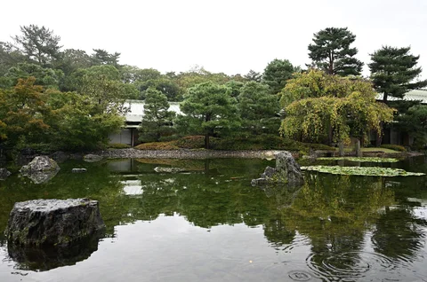 image13.jpg