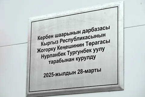 image3.jpg