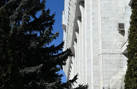 image8.jpg