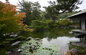 image8.jpg