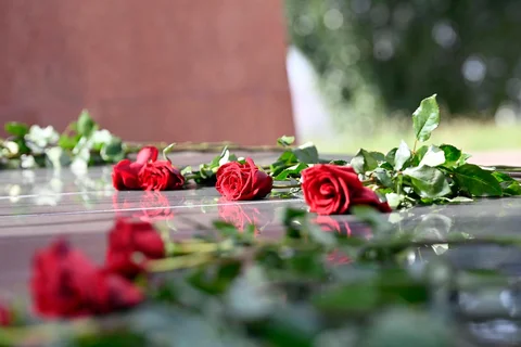 image9.jpg