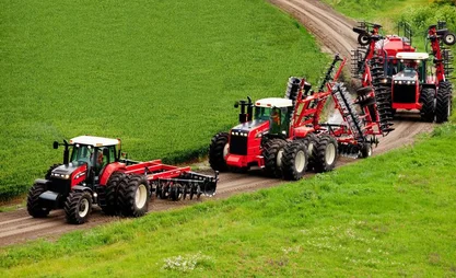 lizing.jpg