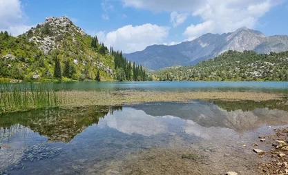 nature.2e16d0ba.format-webp.fill-1668x1014.webp