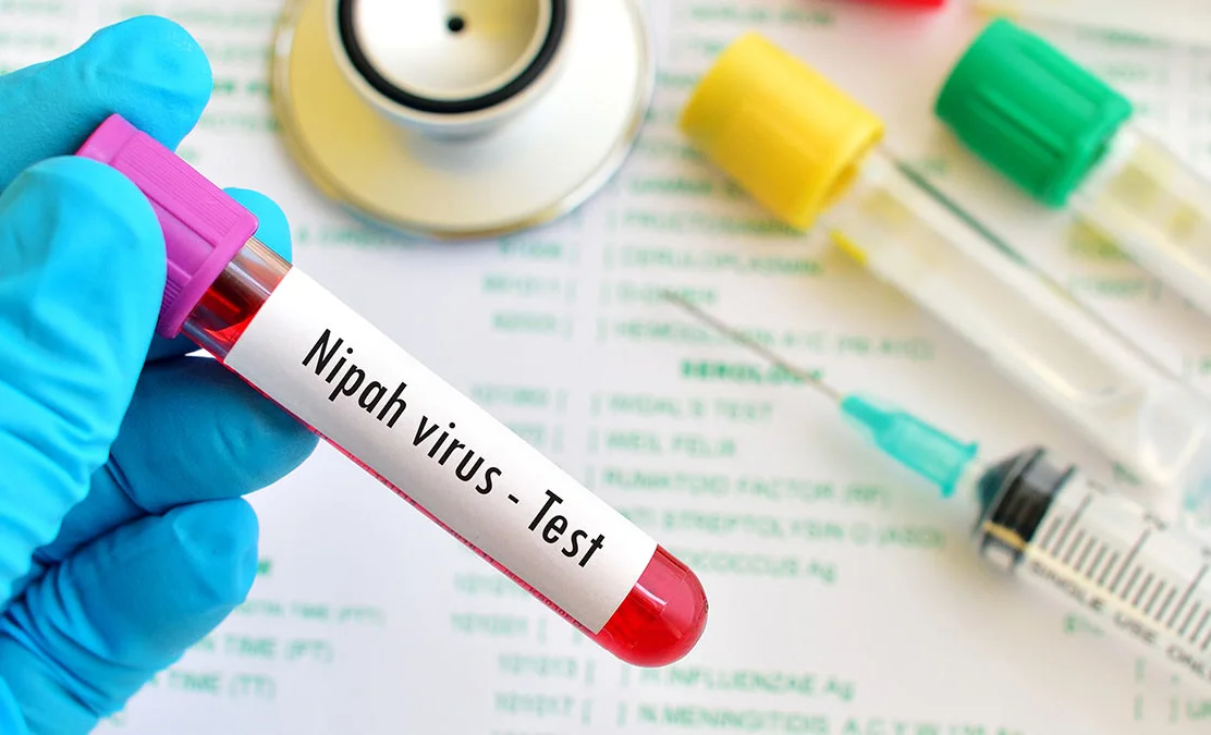 nipah.jpg