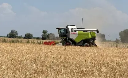 Өлкөдө дан эгиндерин жыйноого 1 459 комбайн тартылды