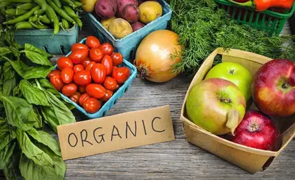 Депутат органикалык продукция жана агротуризмди өнүктүрүүнү сунуштады