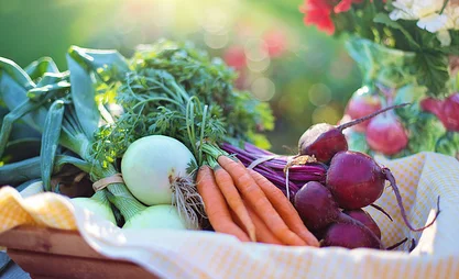 Кыргызстанда 8 айда 252,5 млрд сомдук айыл чарба продукциясы өндүрүлдү