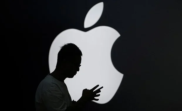 owl_detail_620_d5d2.2e16d0ba.format-webp.fill-1668x1014 (1).webp