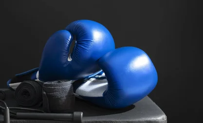 pair-gloves-boxing-.2e16d0ba.format-webp.fill-1668x1014.webp