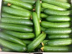 photo_14_.jpg