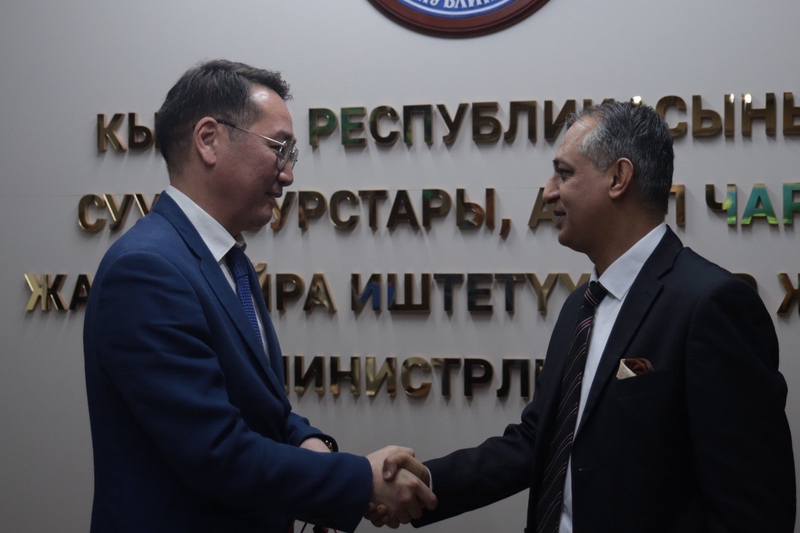 photo_5199539833368416166_y