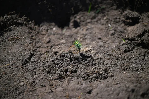photo_52853261.max-2560x1440.format-webp.jpegquality-90.webp