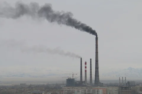 pol_02.width-800.jpg