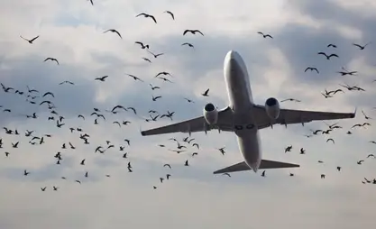Asman Airlines 2 жаңы учак сатып алуу боюнча келишимге кол койду