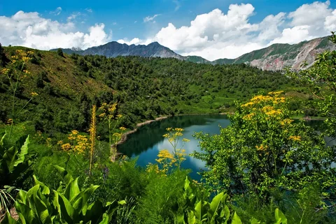 sary-chelek-la.max-2560x1440.format-webp.jpegquality-90.webp