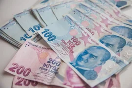 turetskaya-lira.webp
