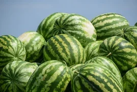 tz3t89ujk6ykibpo49pchxtjxqgxyb9.max-320x180.format-webp.webp