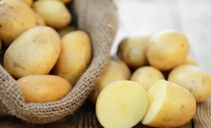 Өлкөдө картошканын кору жетиштүү - Бакыт Төрөбаев