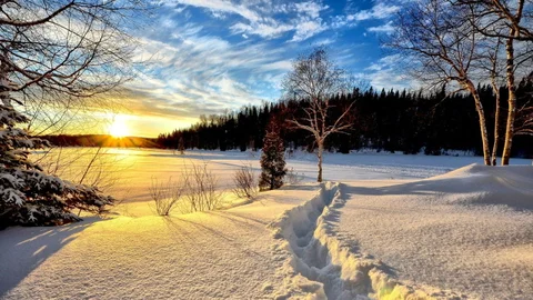 winter-landscape.jpg
